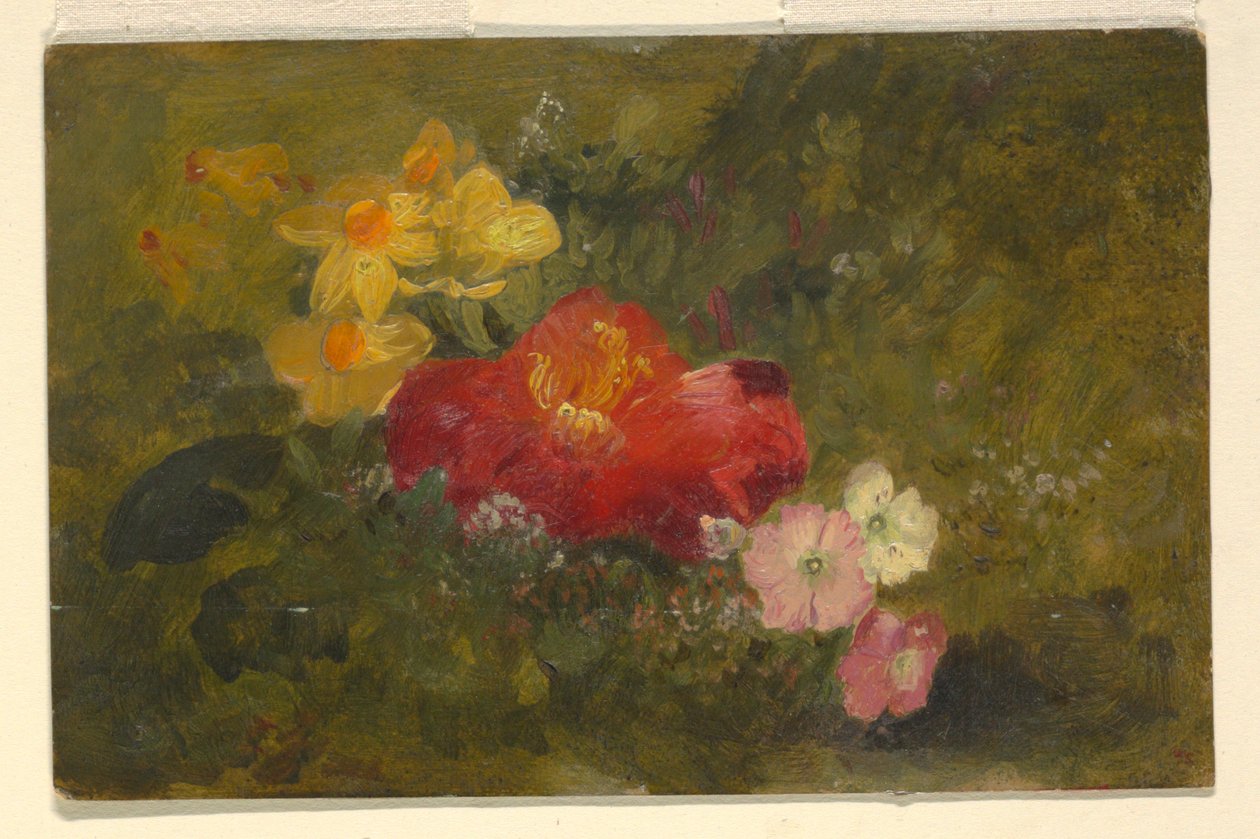 Wild Flowers, Jamaika tekijältä Frederic Edwin Church