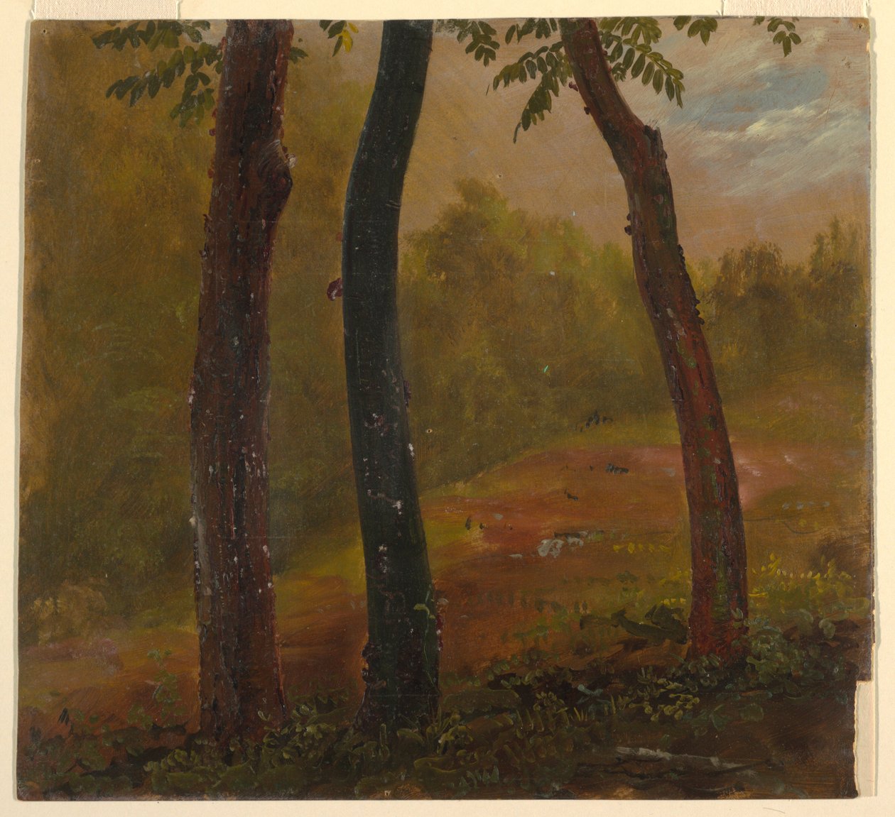 Woodland Scene, Jamaika tekijältä Frederic Edwin Church