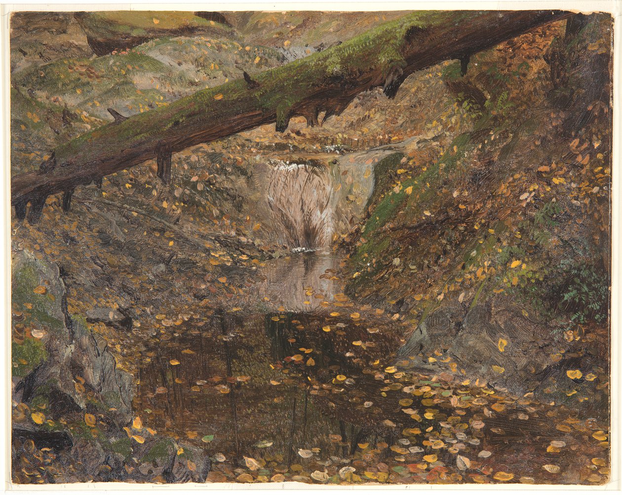 Woodland Stream, mahdollisesti Mt. Desert, Maine tekijältä Frederic Edwin Church