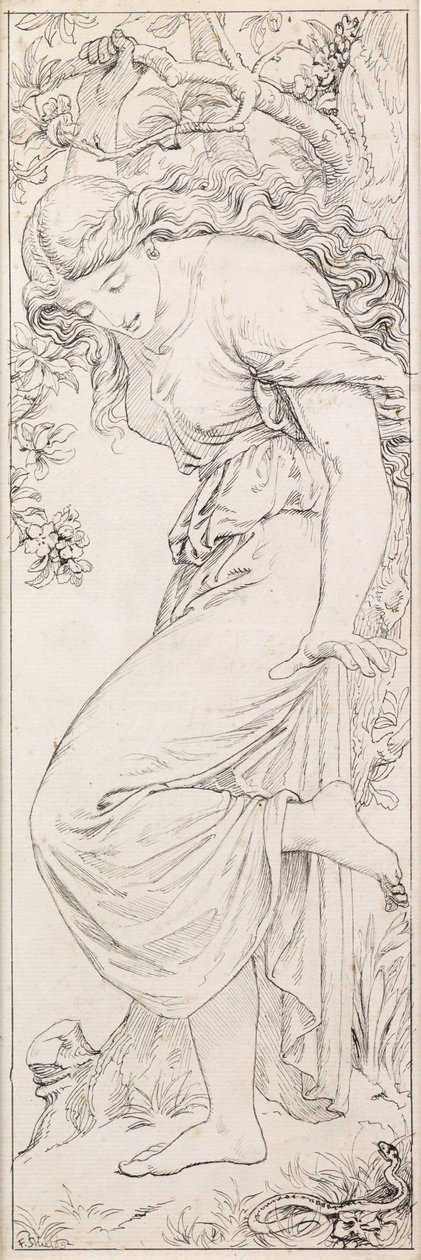Petollinen myrkyllinen kieli