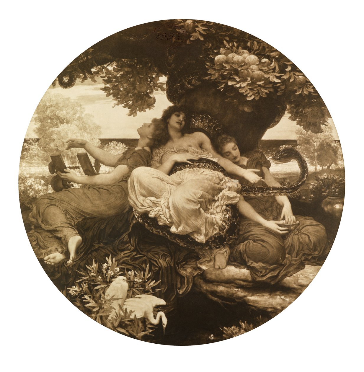 Hesperidien puutarha (syväpaino) tekijältä Frederic Leighton