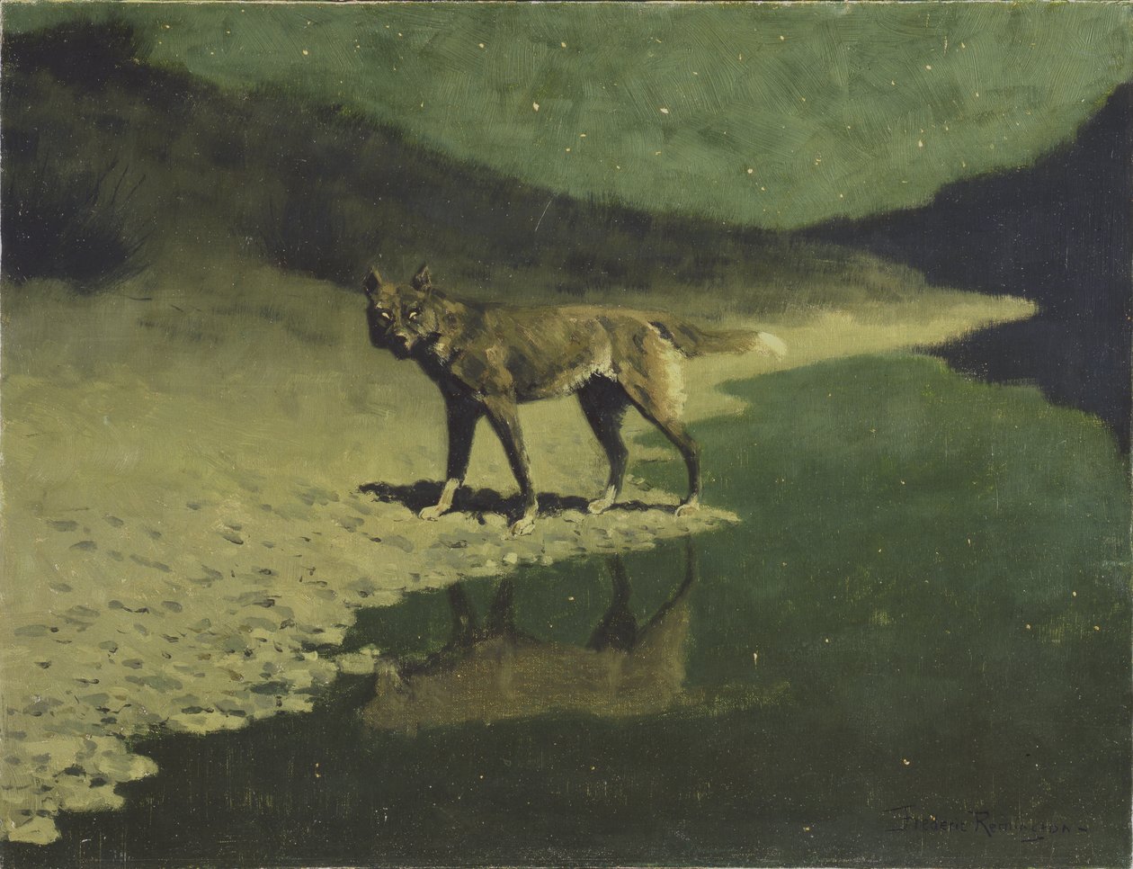 Moonlight, Wolf, n.1904 tekijältä Frederic Remington
