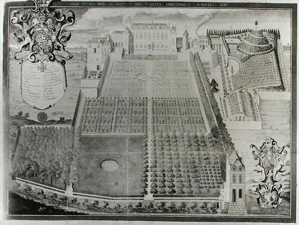 Kings Medical Plant Garden, 1636 tekijältä Frederic Scalberge