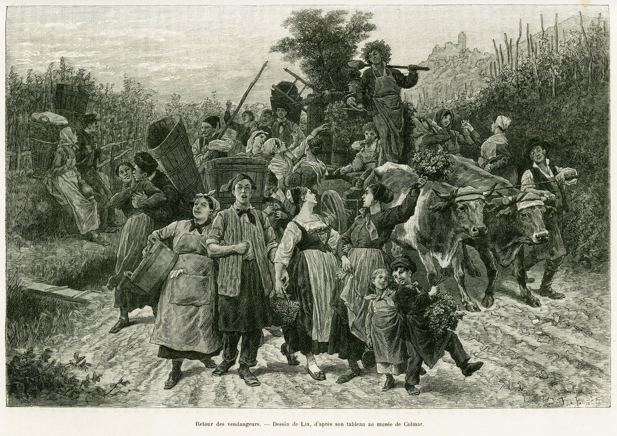 Sadon palautus. Lixin kaiverrus havainnollistamaan tarinaa A Through Alsacen ja Lorraine, vuonna 1887, Charles Grad, saksalainen edustaja, tour du monde 1888, ohjaaja Edouard Charton (1807-1890), Hachette, Paris. tekijältä Frederic Theodore Lix