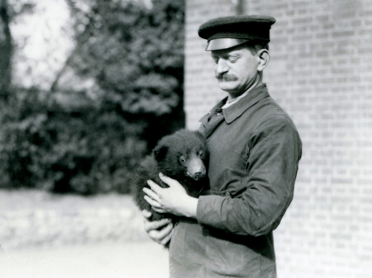 Keeper pitää hallussaan Sloth Bear -pentua Lontoon eläintarhassa elokuussa 1921 tekijältä Frederick William Bond
