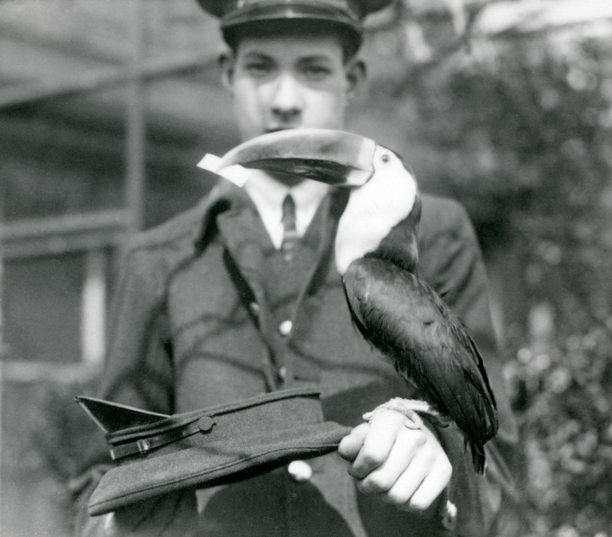 Punasotatukaani nostaa lipun hatusta, jota pitää hallussaan hoitaja C. Hersey (s/w-kuva). tekijältä Frederick William Bond