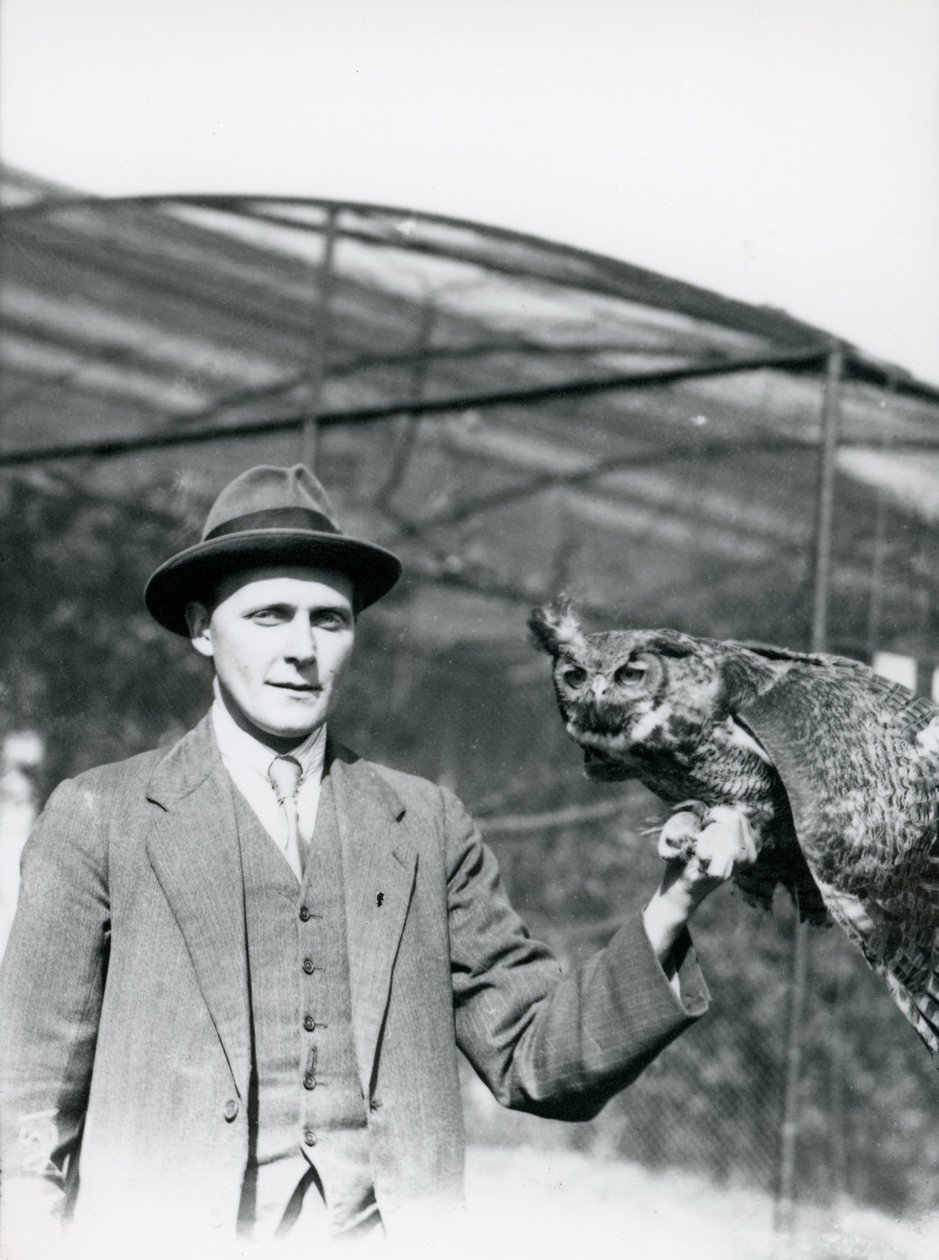 J. Bailey, Lontoon eläintarhan lintujen valvoja, pitelee pöllöä 30 vuoden ajan. kesäkuuta 1920 tekijältä Frederick William Bond