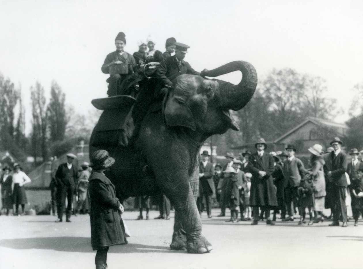 Armenialaiset vierailijat ratsastavat Indiarani-ratsastuksella katsojien seuratessa, Lontoon eläintarha, toukokuu 1923 (svetokuvassa). tekijältä Frederick William Bond