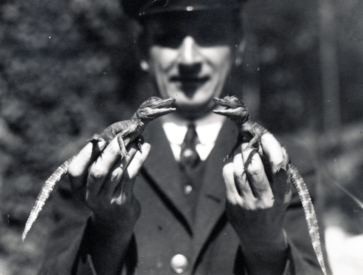 Alligaattorivauvat, 1919 tekijältä Frederick William Bond