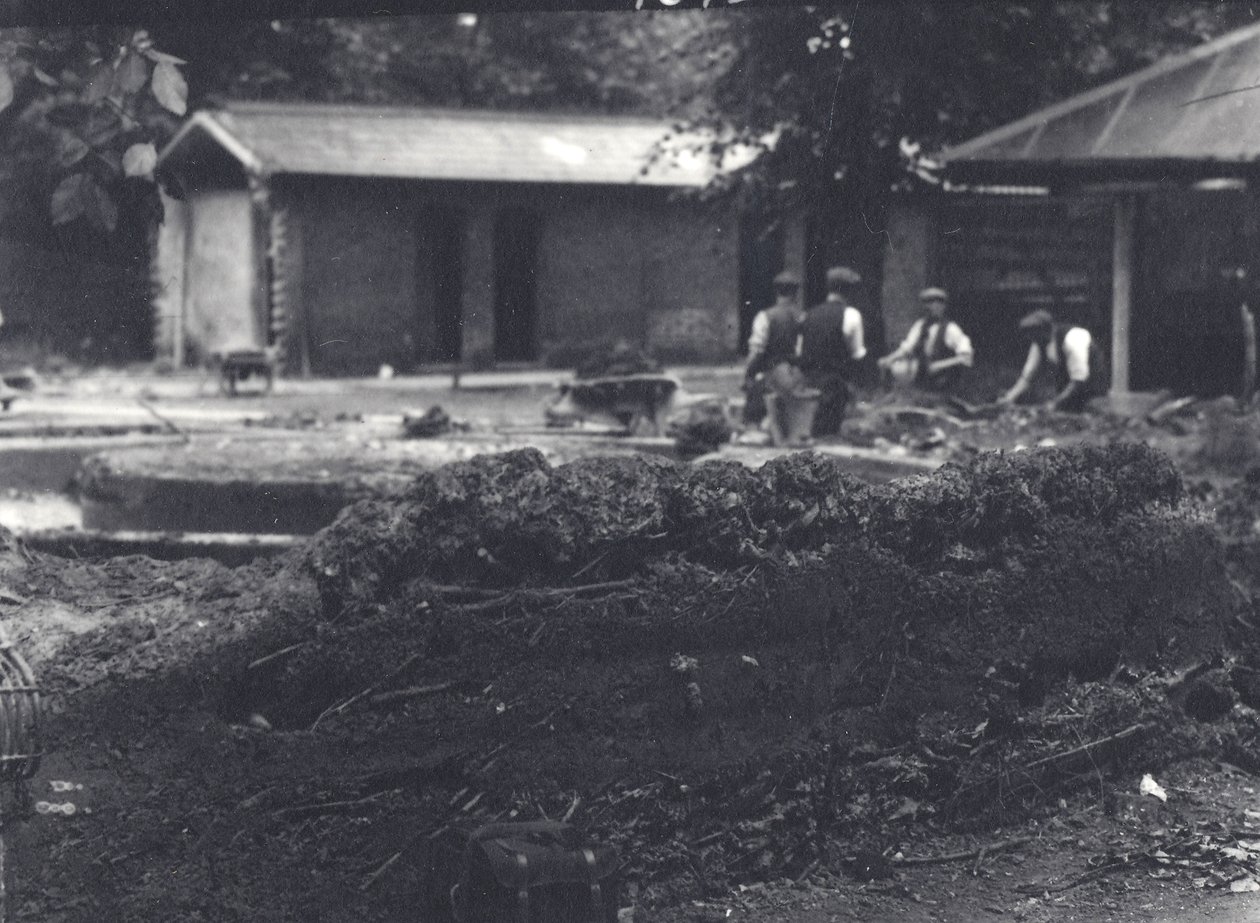 Majavamaja, jossa vartijat taustalla, Lontoon eläintarha, heinäkuu 1916 tekijältä Frederick William Bond