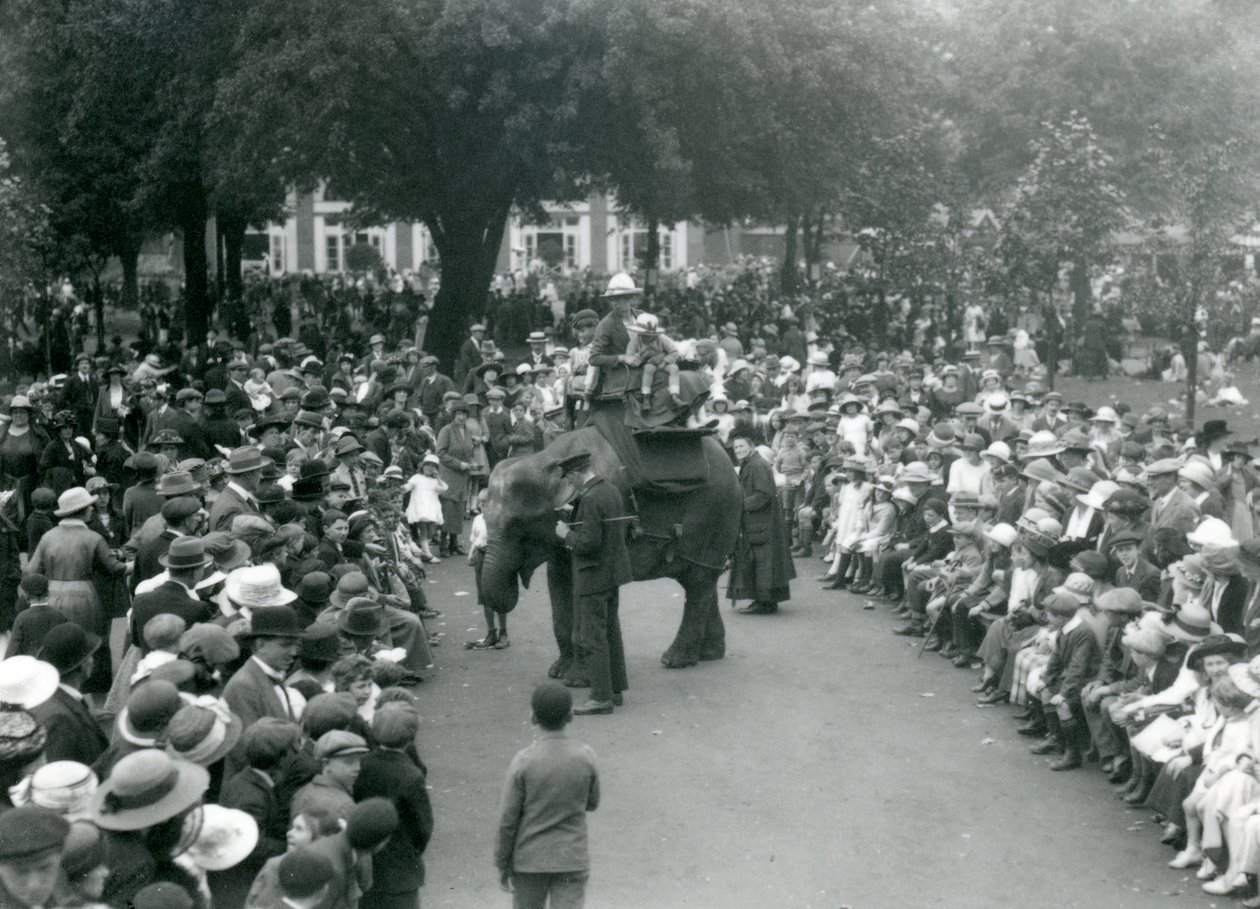 Vierailijajoukot katsovat elefanttien ratsastusta Lontoon eläintarhassa elokuun pyhäpäivänä 1922 tekijältä Frederick William Bond