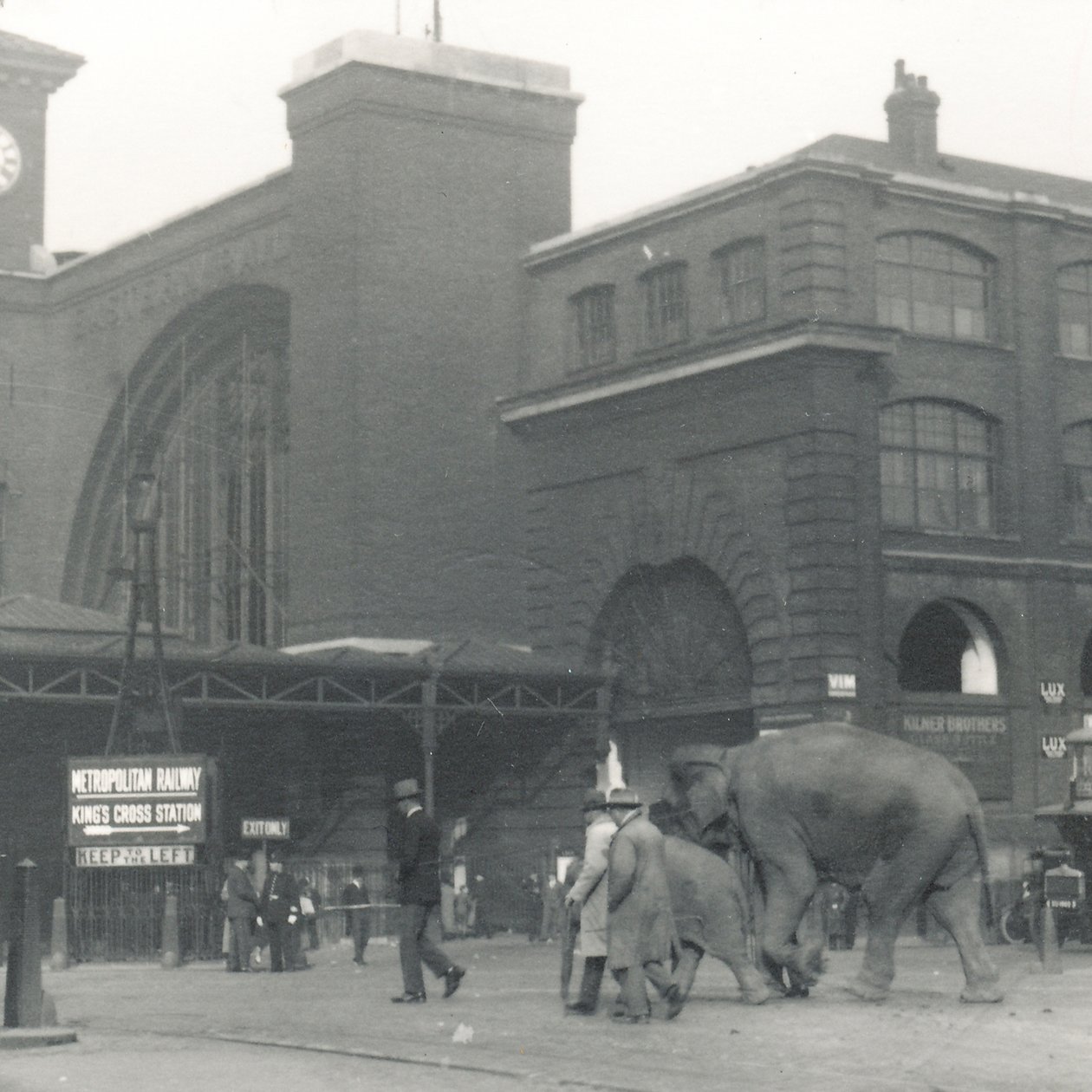 Elefantit kävelemässä telakoilta Kings Crossin asemalta matkalla ZSL London Zoo -eläintarhaan, syyskuu 1927 tekijältä Frederick William Bond
