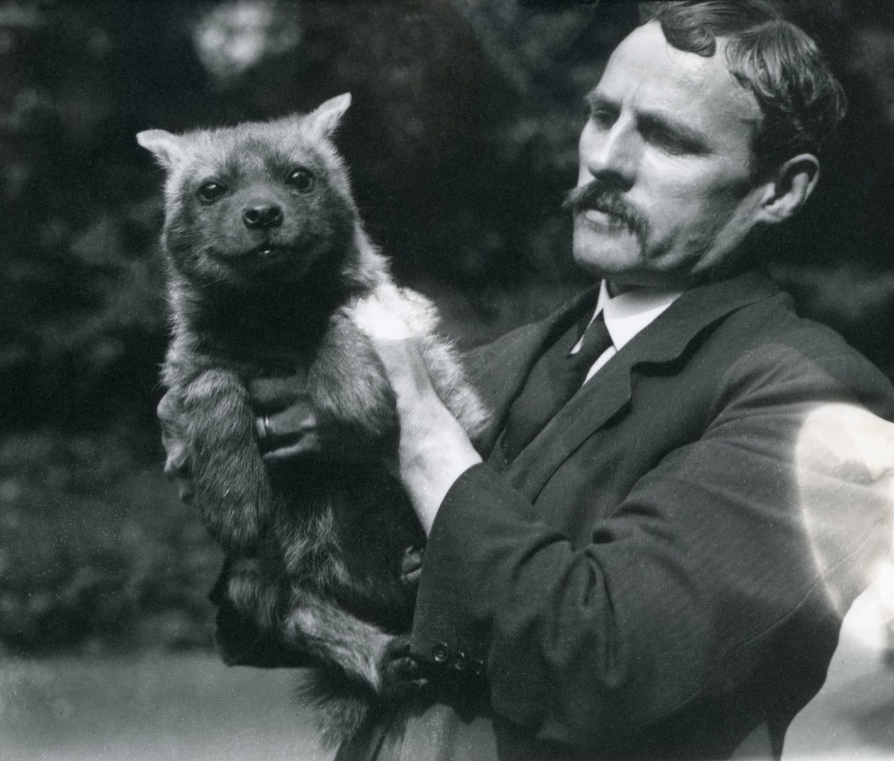 Vartija Charles Dixon pitelee hyeenanpoikaa Lontoon eläintarhassa, 1919 tekijältä Frederick William Bond