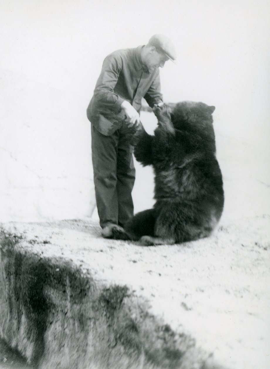 Vartija Charlie Philips pitelee kädestä istuvan mustakarhun kanssa Lontoon eläintarhassa, ennen vuotta 1930 (bw kuva) tekijältä Frederick William Bond