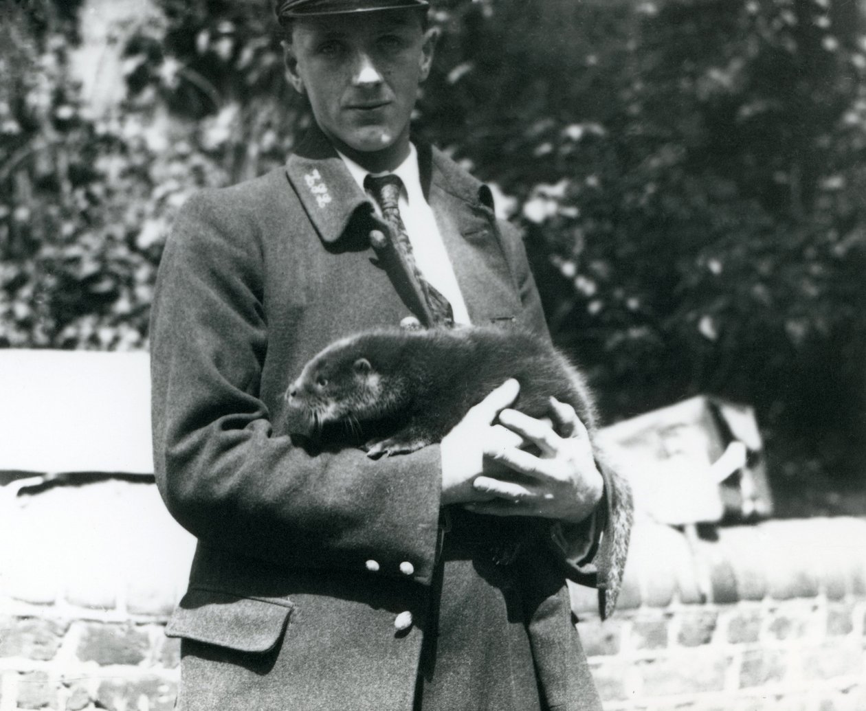 Eläintenhoitaja Leslie Martin Flewin pitelee saukonpentua sylissään Lontoon eläintarhassa kesäkuussa 1922. tekijältä Frederick William Bond