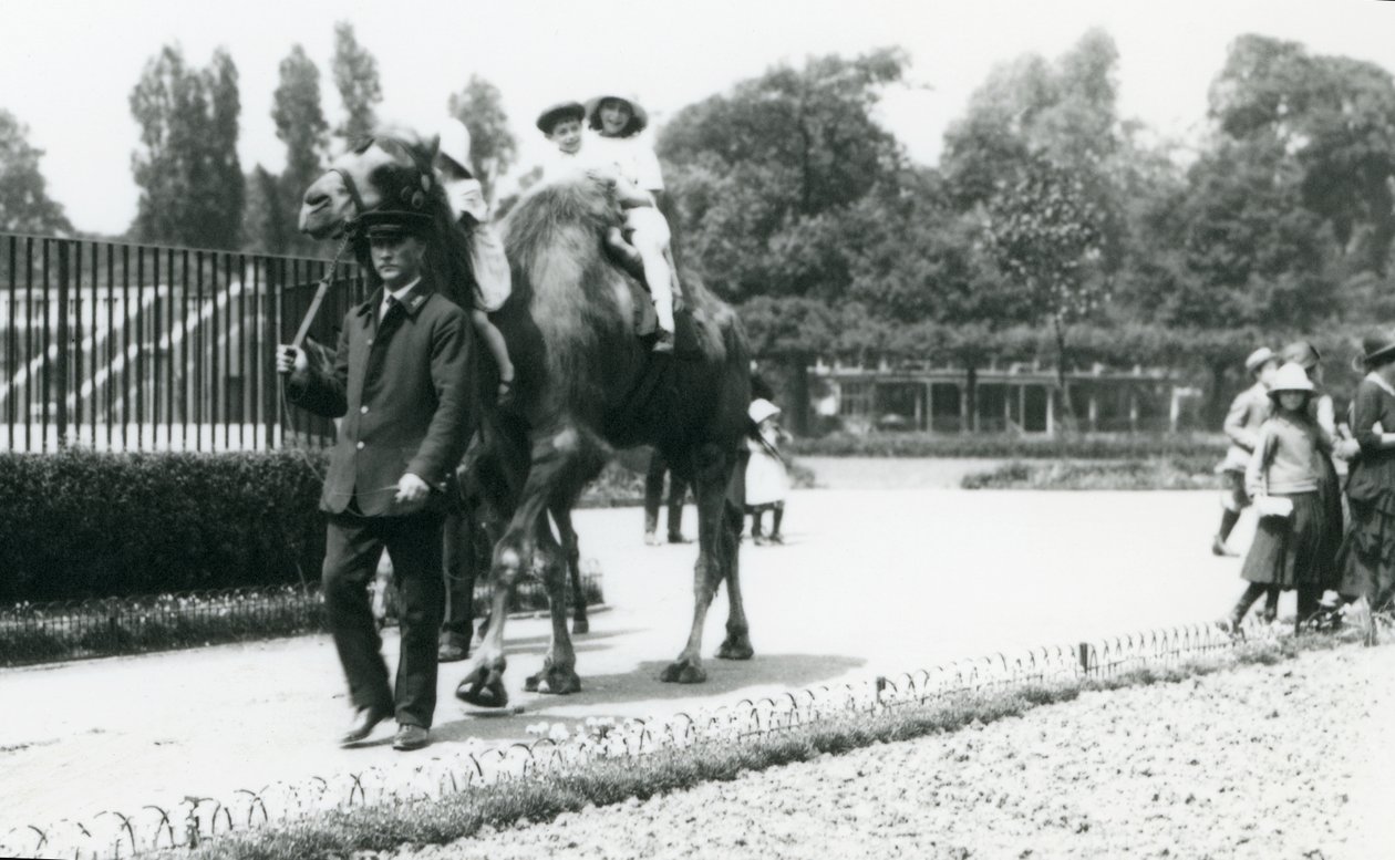 Kaksi nuorta vierailijaa ratsastamassa Bactrian-kamelilla vartijan johdolla Lontoon eläintarhassa elokuussa 1922 (bw kuva) tekijältä Frederick William Bond