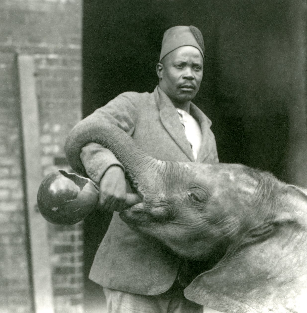 Darisha antoi nuorelle afrikkalaiselle norsulle Kiberengelle juotavaa Lontoon eläintarhassa syyskuussa 1923 (bw kuva) tekijältä Frederick William Bond