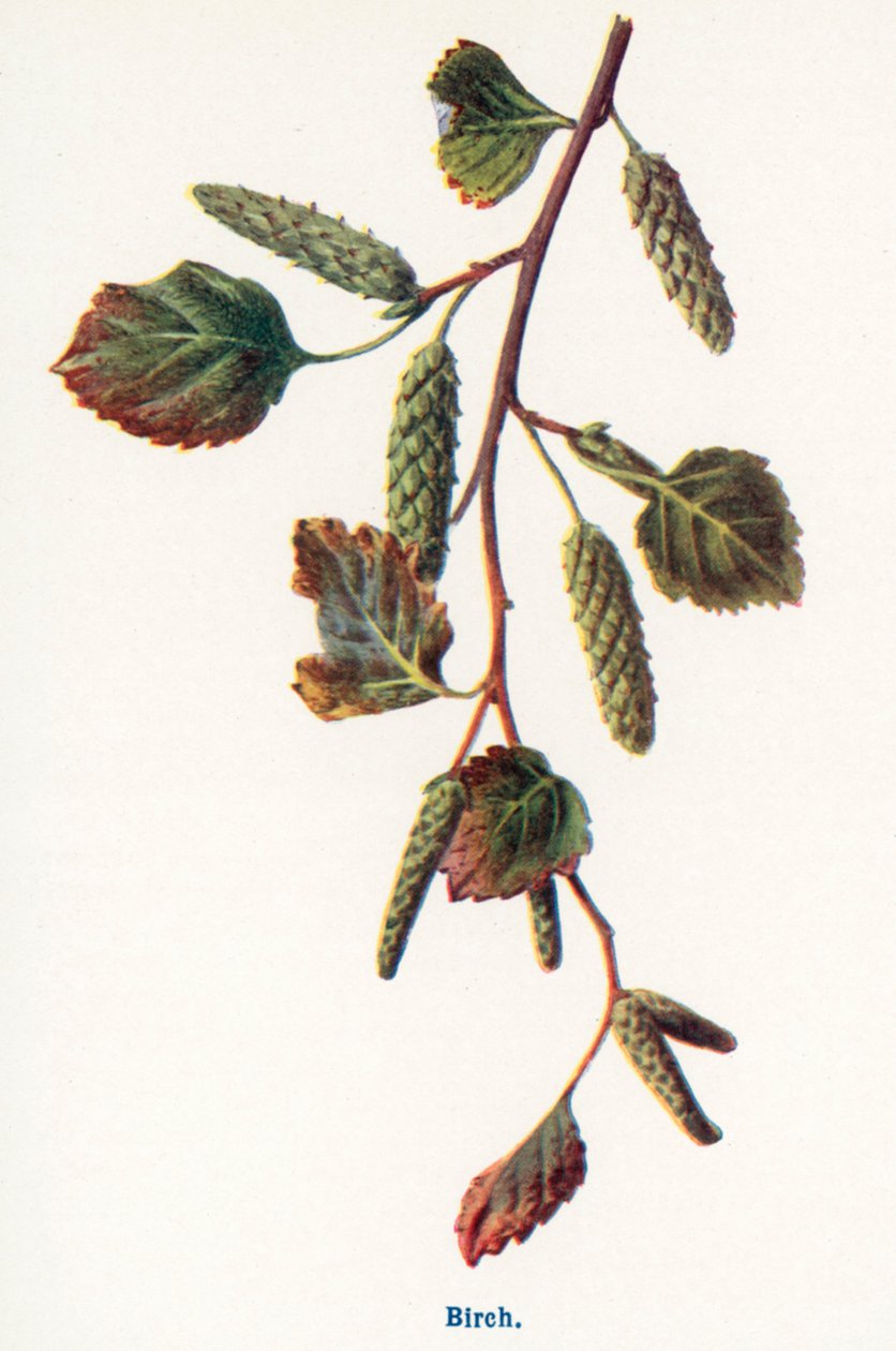  tekijältä Frederick Edward Hulme