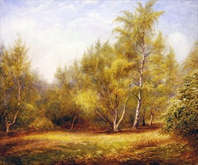Eppingin metsä lähellä Buckhurst Hilliä (akvarelli paperille) tekijältä Frederick Henry Evans