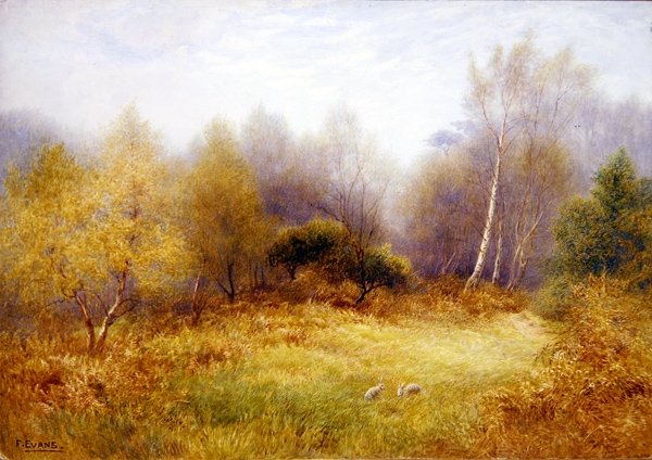 Kanit metsäaukiolla (akvarelli paperille) tekijältä Frederick Henry Evans