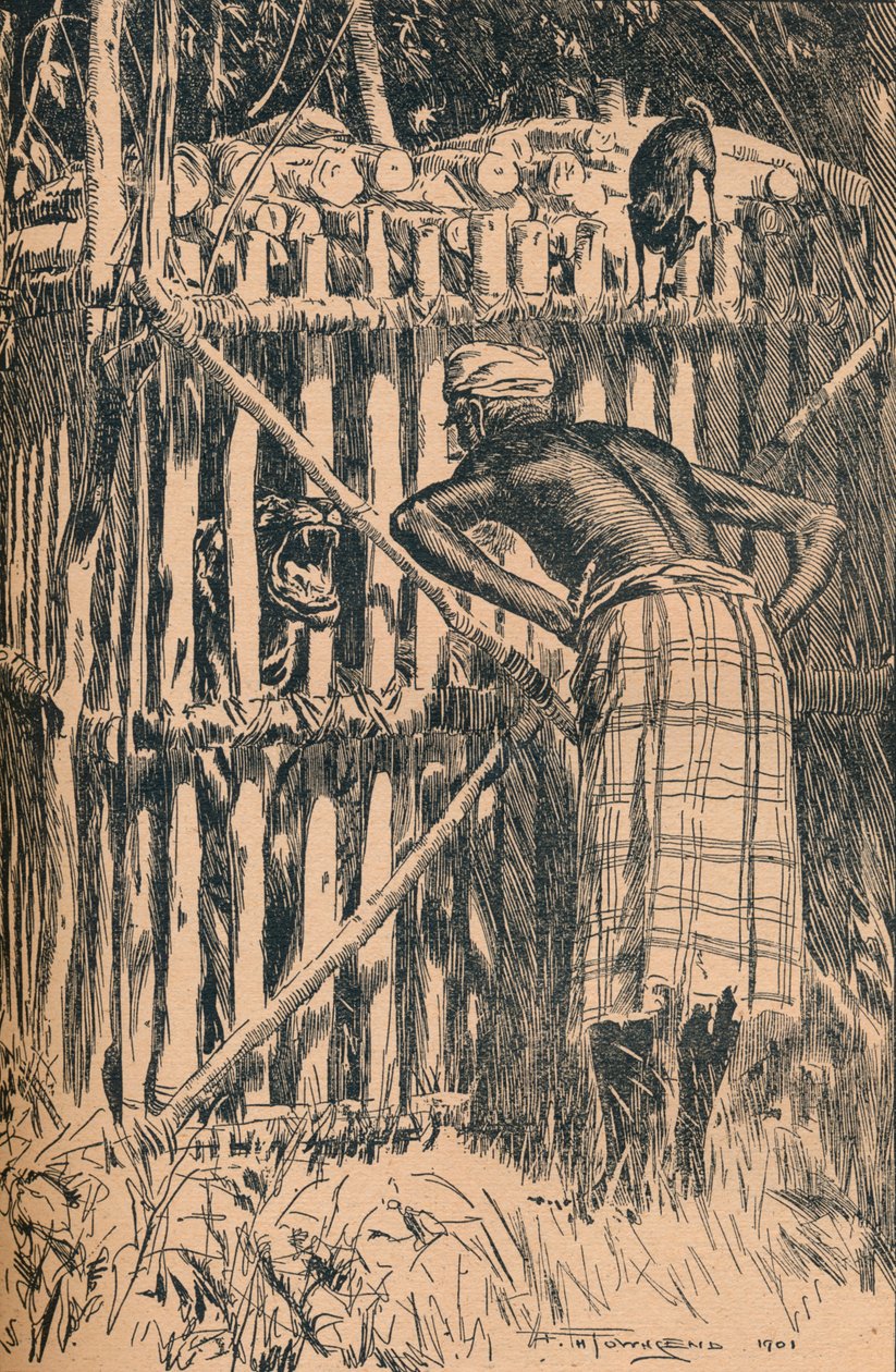 Kuvitus Skeatsin satuihin ja kansantarinoihin itämetsästä, 1901 tekijältä Frederick Henry Townsend