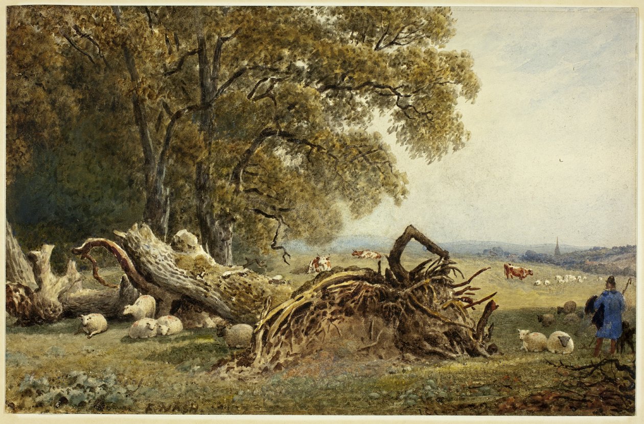 Lampaat, lehmät ja paimen by Rooted Tree tekijältä Frederick Nash