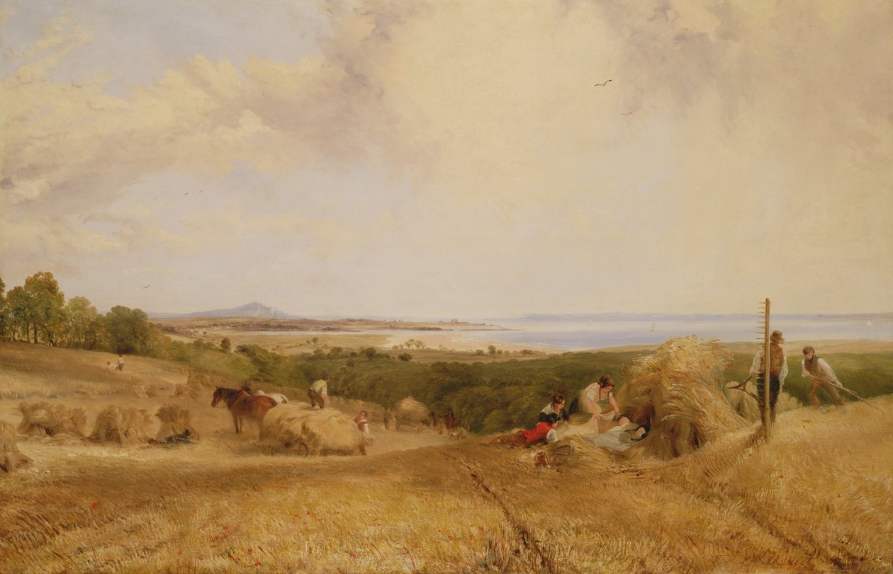Sadonkorjuupelto, 1846 tekijältä Frederick Richard Lee