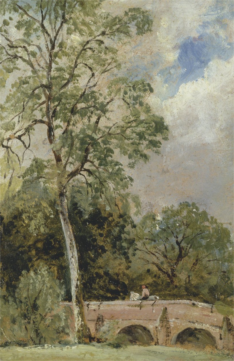 South Micklehamissa, 1829 (öljy myllylevylle) tekijältä Frederick Waters Watts