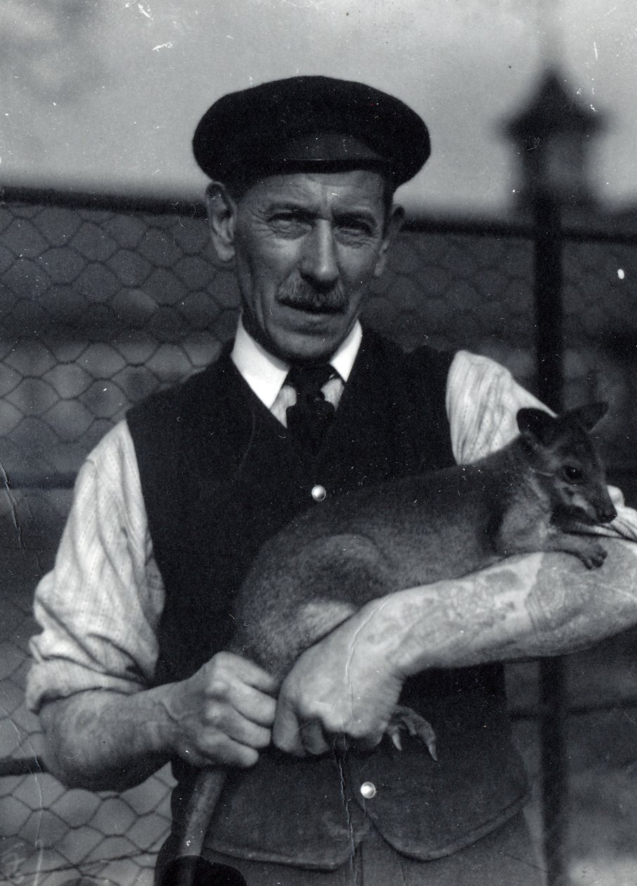 Vartija pitää hallabyä, lokakuu 1920 (m/v kuva) tekijältä Frederick William Bond