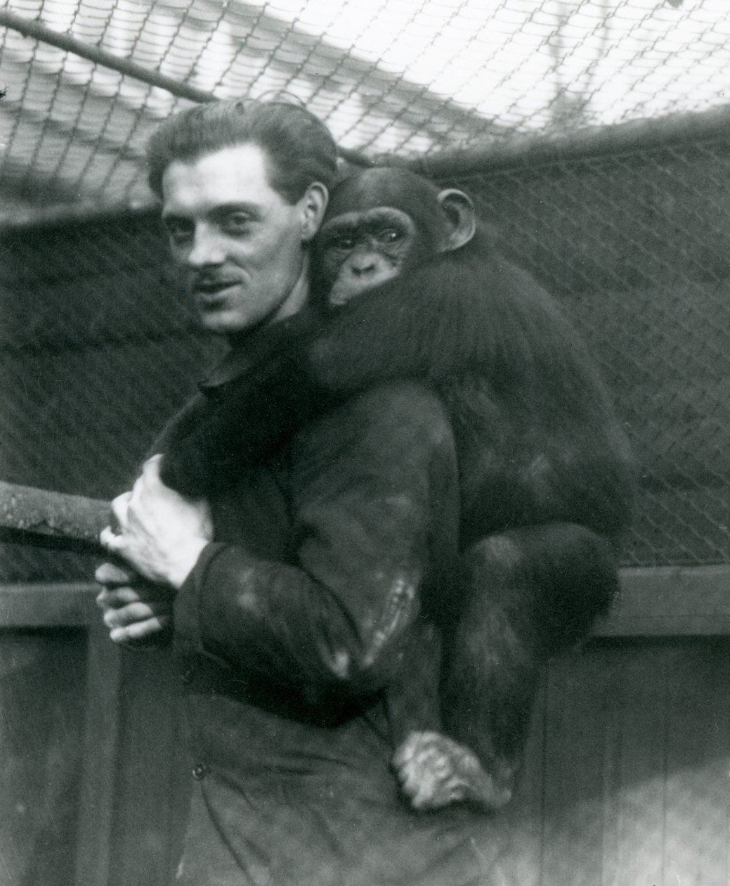 Mies kantaa simpanssi Sallya selässään Lontoon eläintarhassa, 1924 tekijältä Frederick William Bond