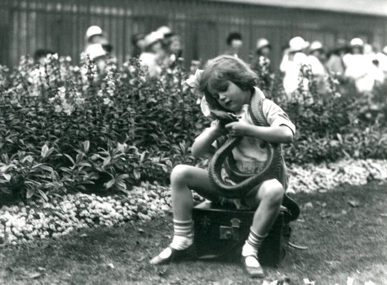 Nuori tyttö Betty pitelee itä-indigo-käärmettä istuessaan nahkaisen arkun päällä, Lontoon eläintarha, 1924 tekijältä Frederick William Bond