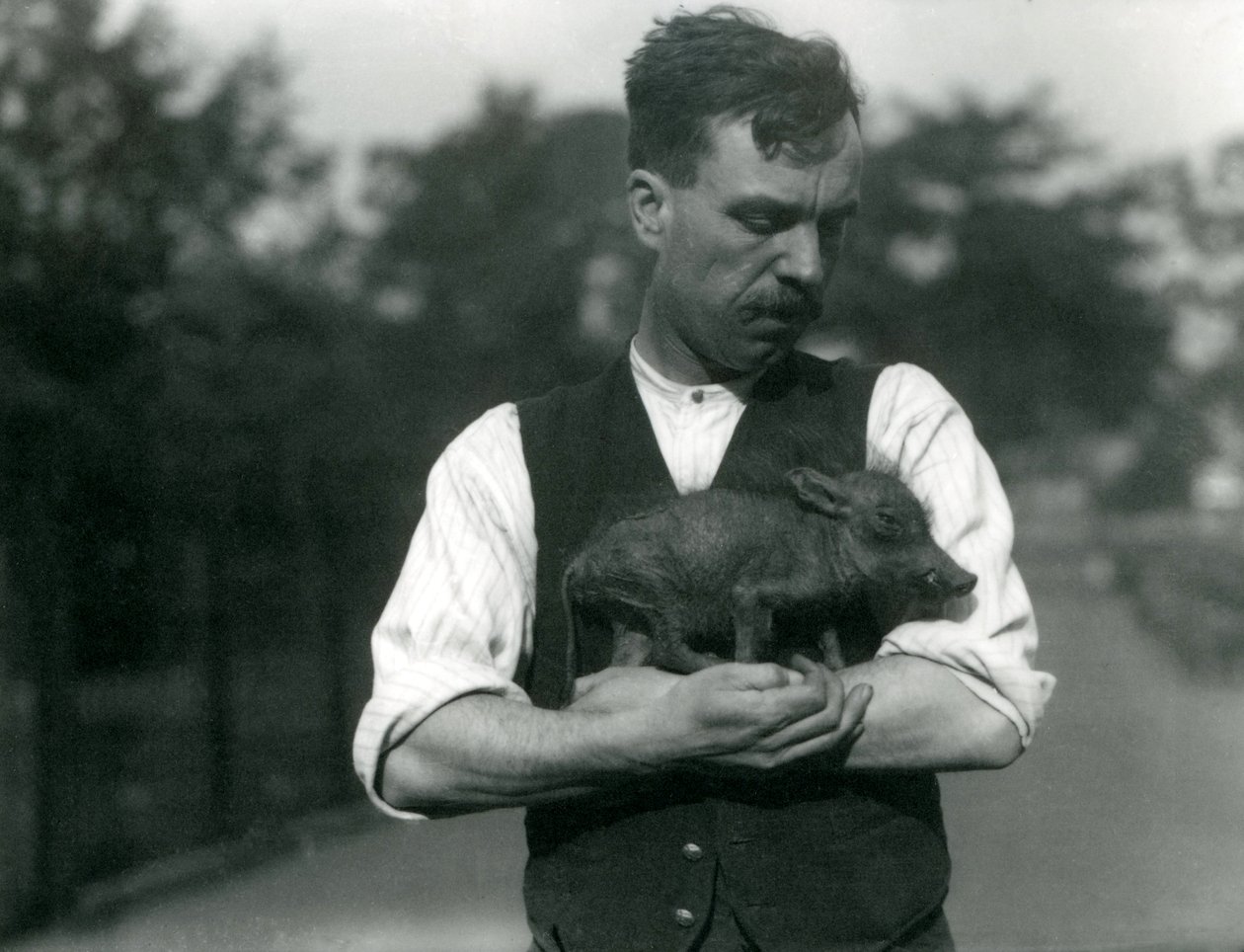 Vartija Harry Warwick kehtaa pahkashogin vauvaa sylissään Lontoon eläintarhassa elokuussa 1922 tekijältä Frederick William Bond