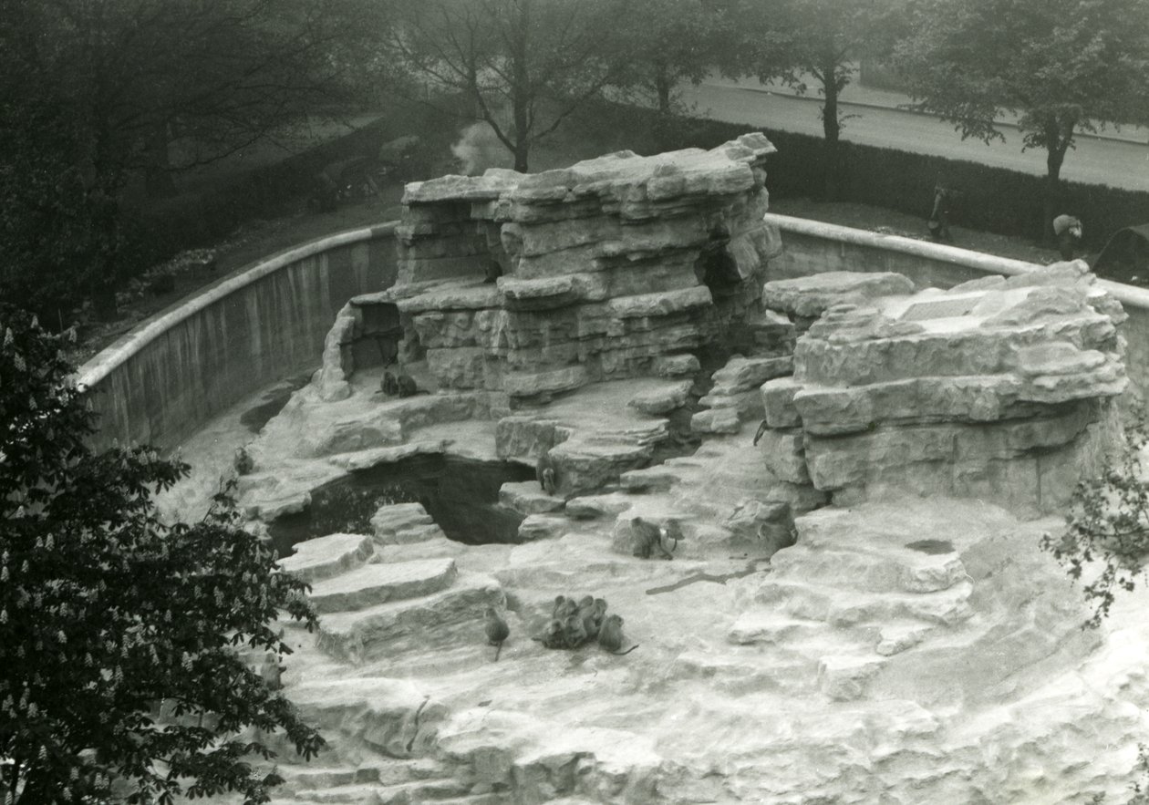 Monkey Hill