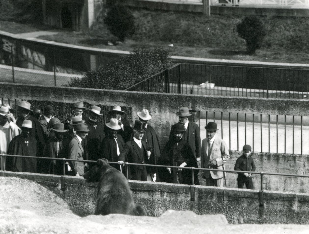Sir Peter Chalmers Mitchell etiopialaisen valtionhoitajan Haile Selassien ja hänen seurueensa kanssa katselemassa ruskeakarhua Mappin Terracesilla Lontoon eläintarhassa, 1924 tekijältä Frederick William Bond