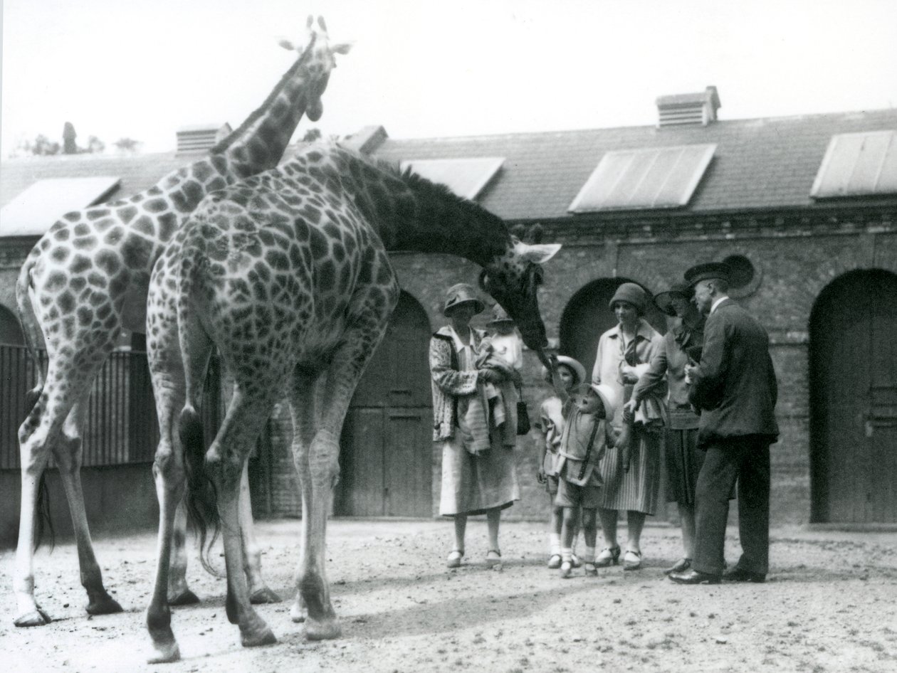 Kolme naista kolmen pienen lapsen kanssa vierailee kirahvilla aitauksessaan Lontoon eläintarhan Giraffe Housen ulkopuolella, heinäkuussa 1926 tekijältä Frederick William Bond