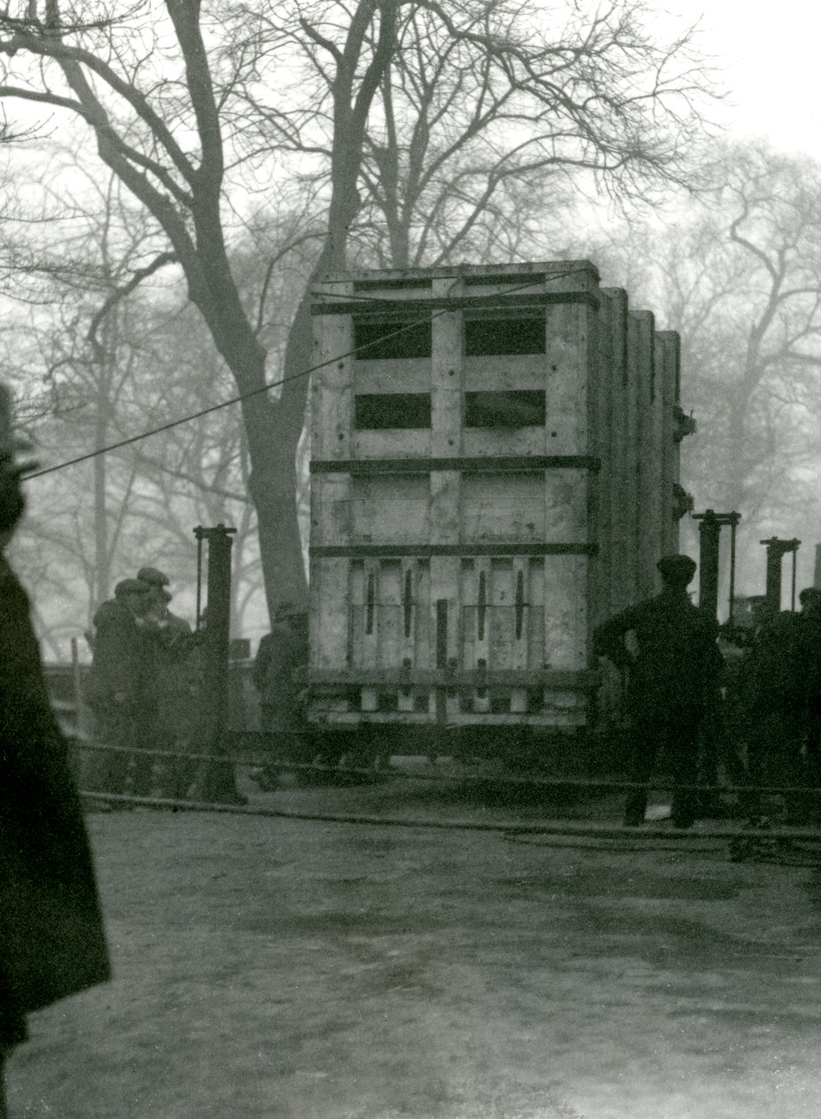 Naaras Aasiannorsu Lukhi kuljettamassa puulaatikossa Lontoon eläintarhassa, 1923 tekijältä Frederick William Bond