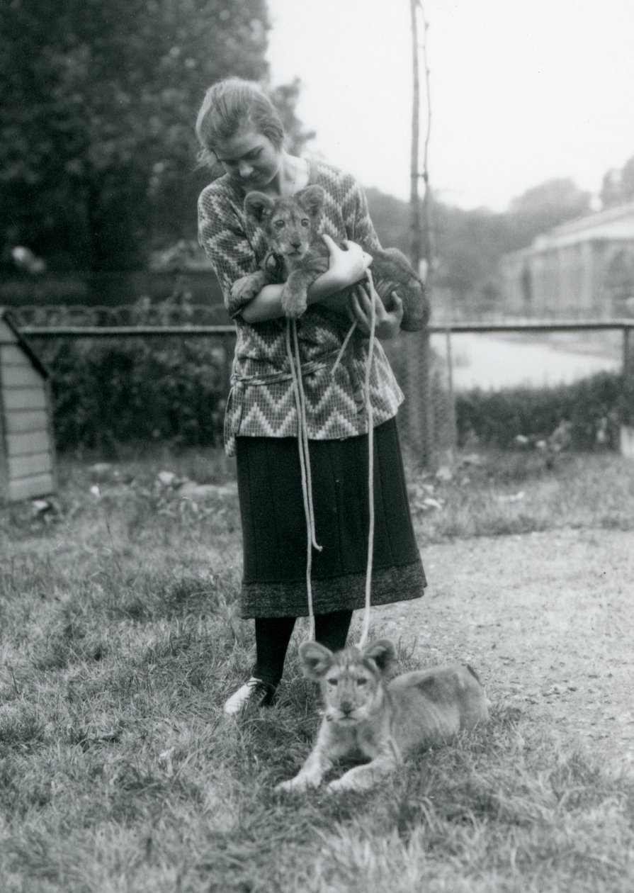 Kaksi leijonanpentua nuoren naisen kanssa Lontoon eläintarhassa elokuussa 1925. tekijältä Frederick William Bond