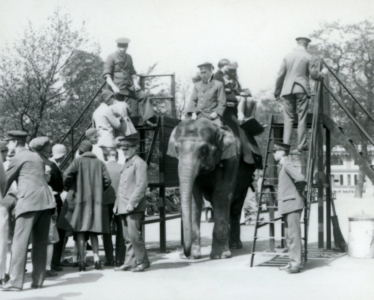 Vierailijat jonottavat norsuratsastukseen, kun muut nousevat kyytiin viiden hoitajan avustuksella, Lontoon eläintarha, 1927. tekijältä Frederick William Bond