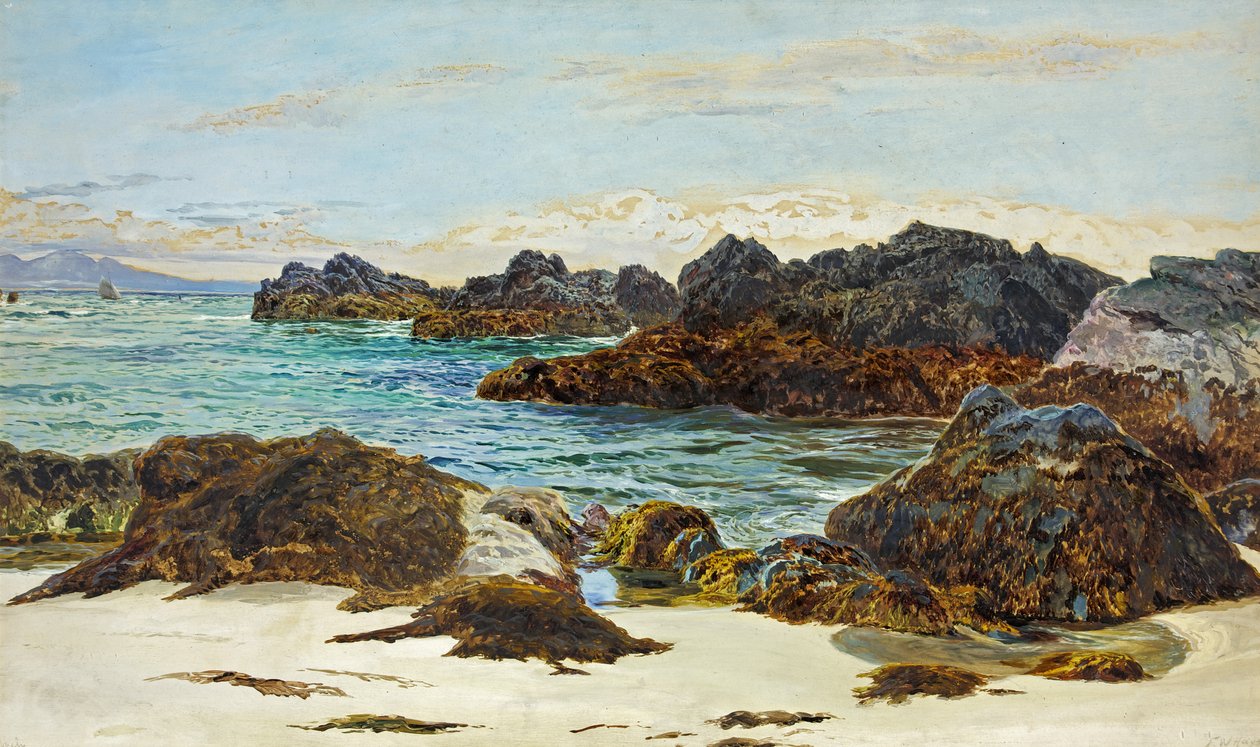 Tuleva vuorovesi tekijältä Frederick William Hayes