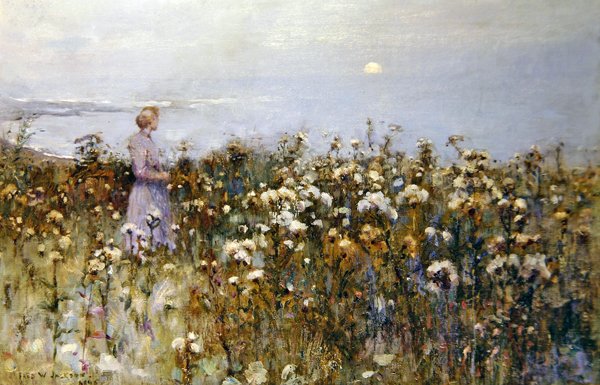 Kesäaurinko tekijältä Frederick William Jackson
