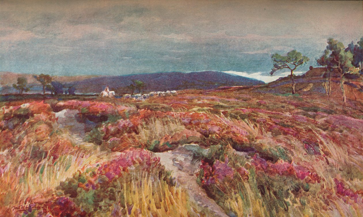 The Heath Lytchett Minsterissä, vuodelta 1904 tekijältä Frederick William Newton Whitehead