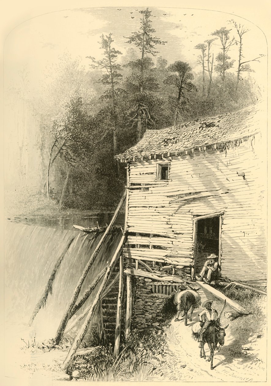 "Old Mill - Reems