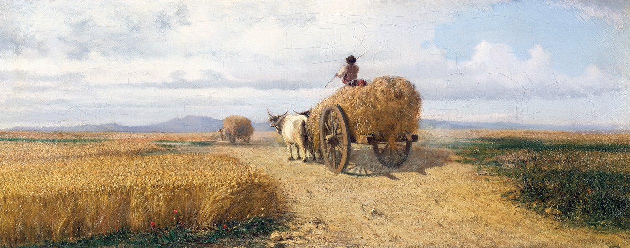 Wheatfield, noin 1868, maalaus Federico Rossano (1835-1912), öljy kankaalle, 30x73 cm tekijältä Frederico Rossano