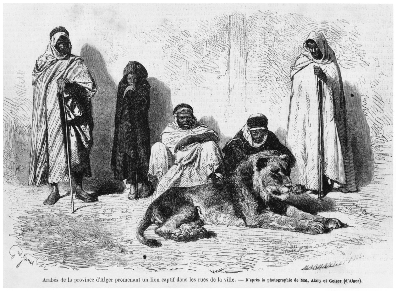 Ryhmä arabialaisia miehiä Algerin maakunnasta, kävelemässä vangitun leijonan kanssa kaupungin kaduilla, Le Monde Illustre, tammikuu 1864 tekijältä French Photographer