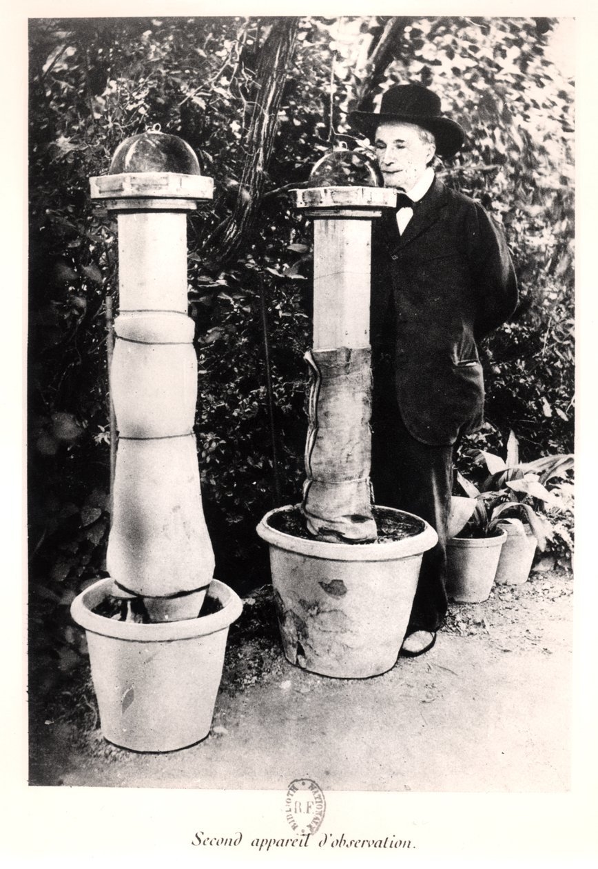 Jean-Henri Fabre (1823-1915) Souvenirs Entomologiquesista, julkaistu vuonna 1924 tekijältä French Photographer