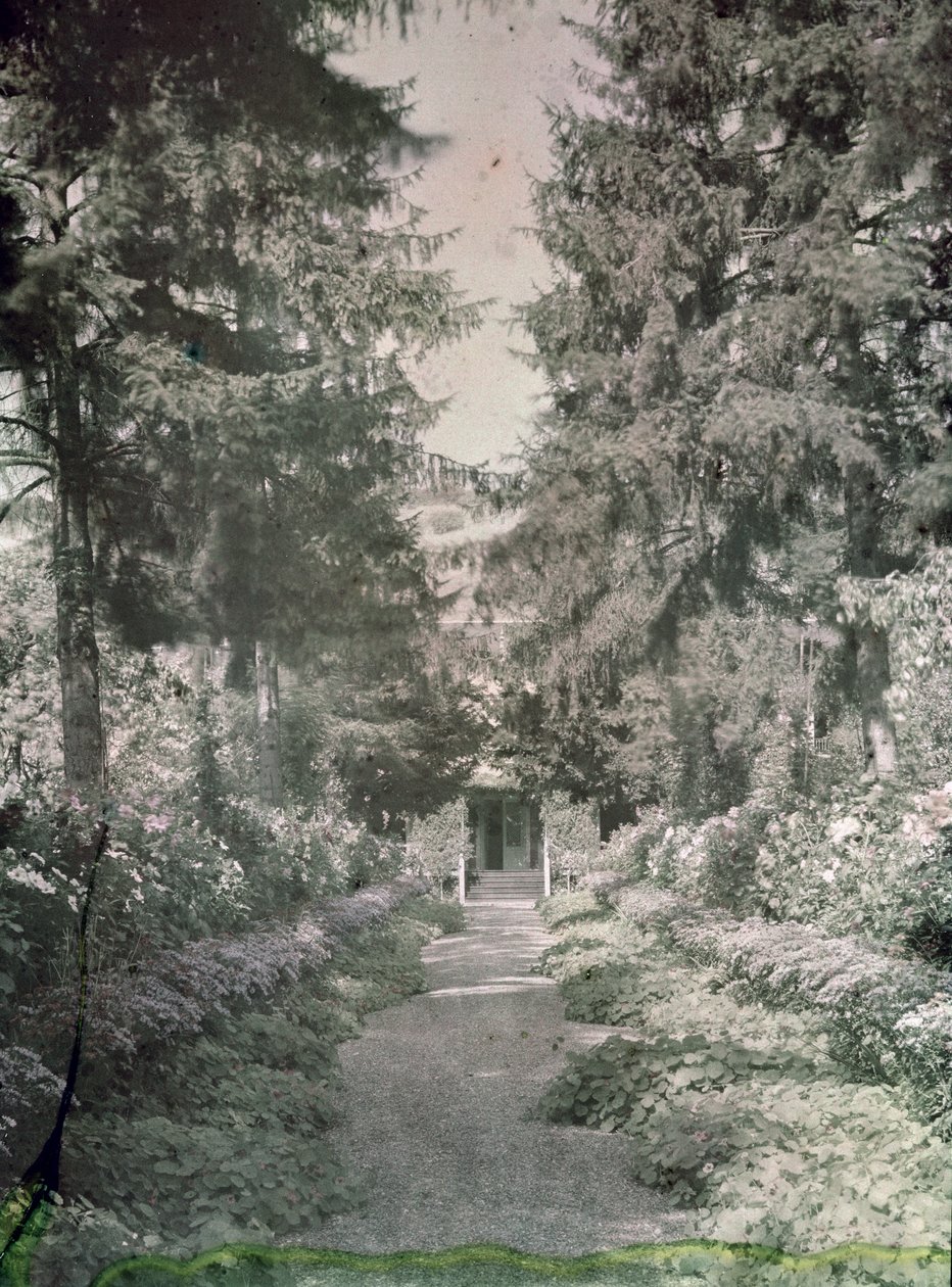 Polku Monet