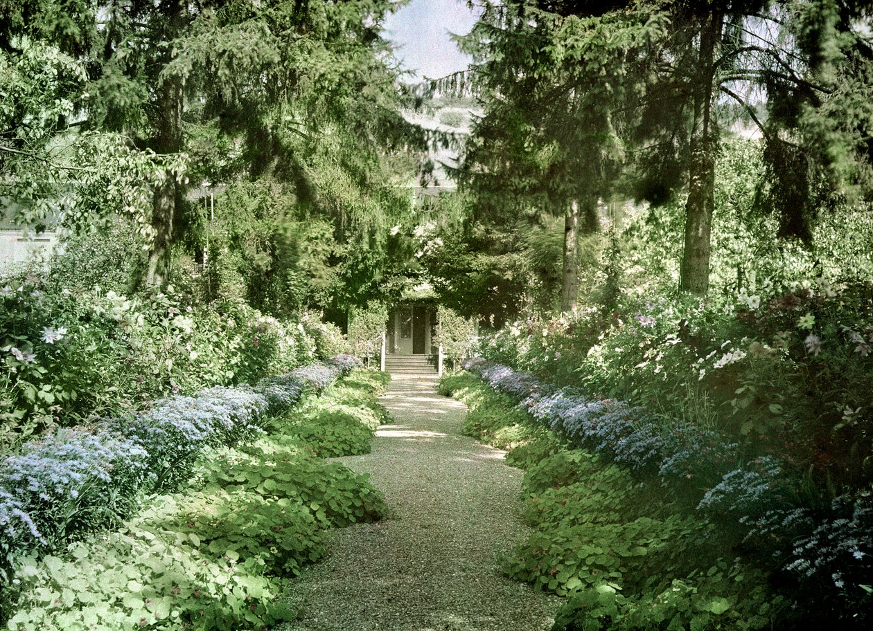 Polku Monet