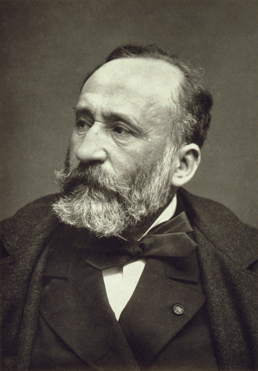 Pierre Cecile Puvis de Chavannes (1824-98), Galerie Contemporainesta, n. 1874-78 tekijältä French Photographer