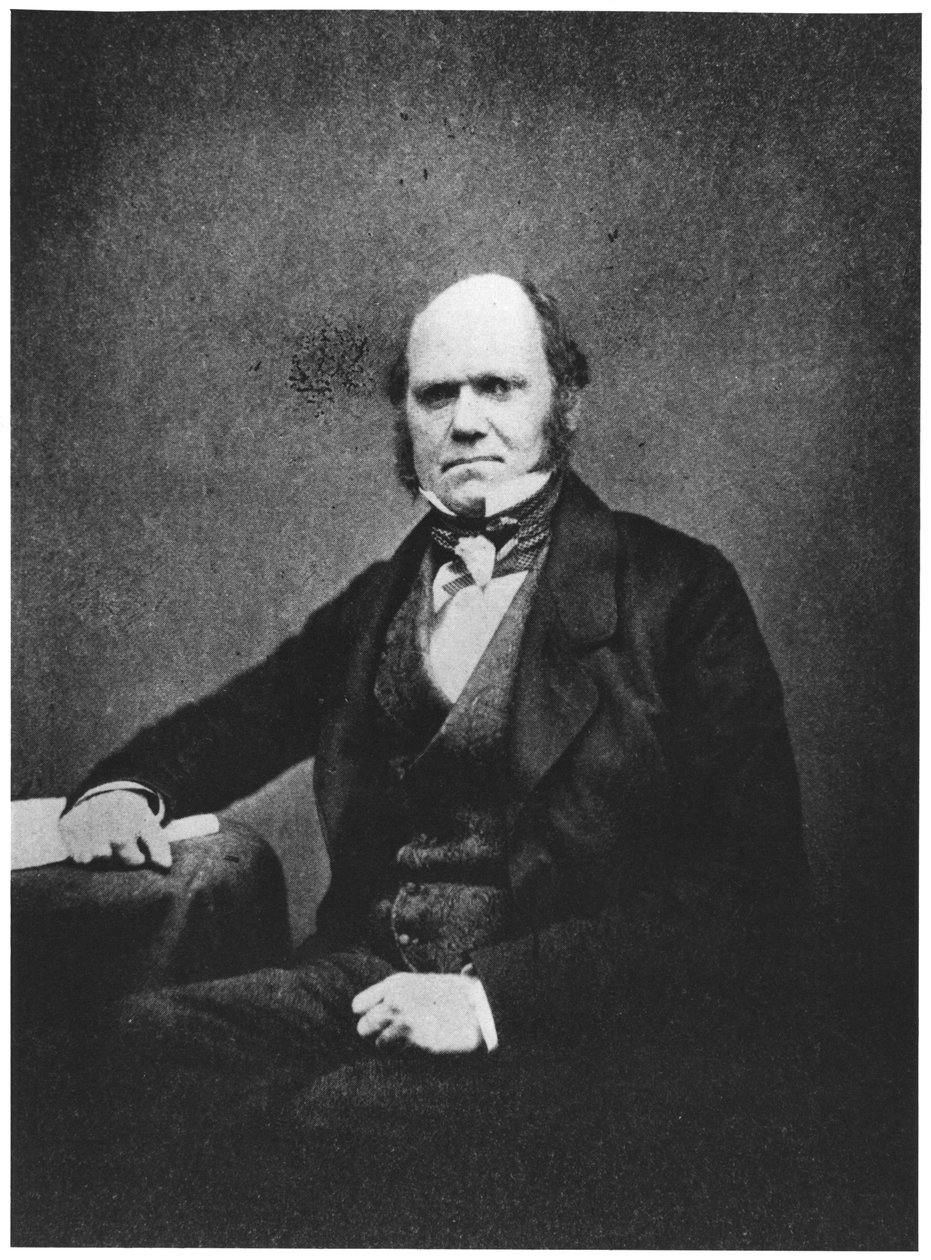 Charles Darwinin (1809-82) muotokuva tekijältä French Photographer