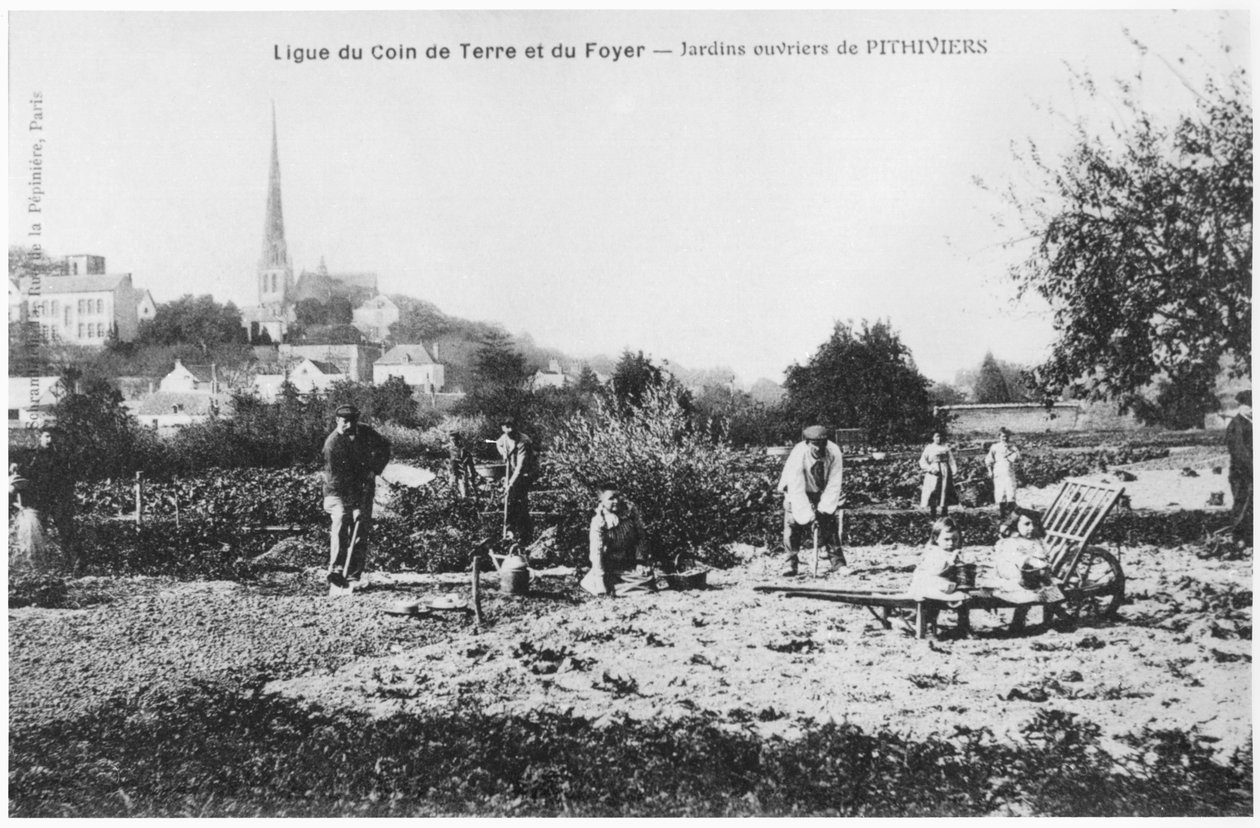 Postikortti, joka kuvaa keittiöpuutarhoja Pithiviersin työntekijöille ennen vuotta 1914 tekijältä French Photographer